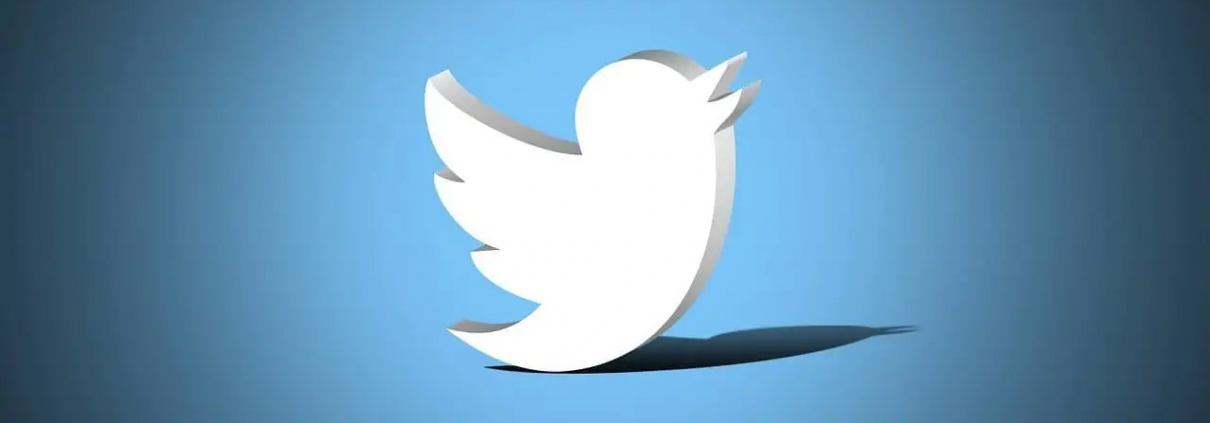 Twitter fleet
