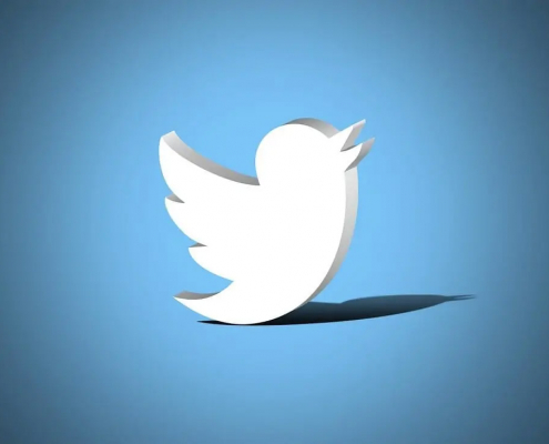 Twitter fleet